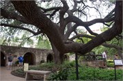 SanAntonio 2441